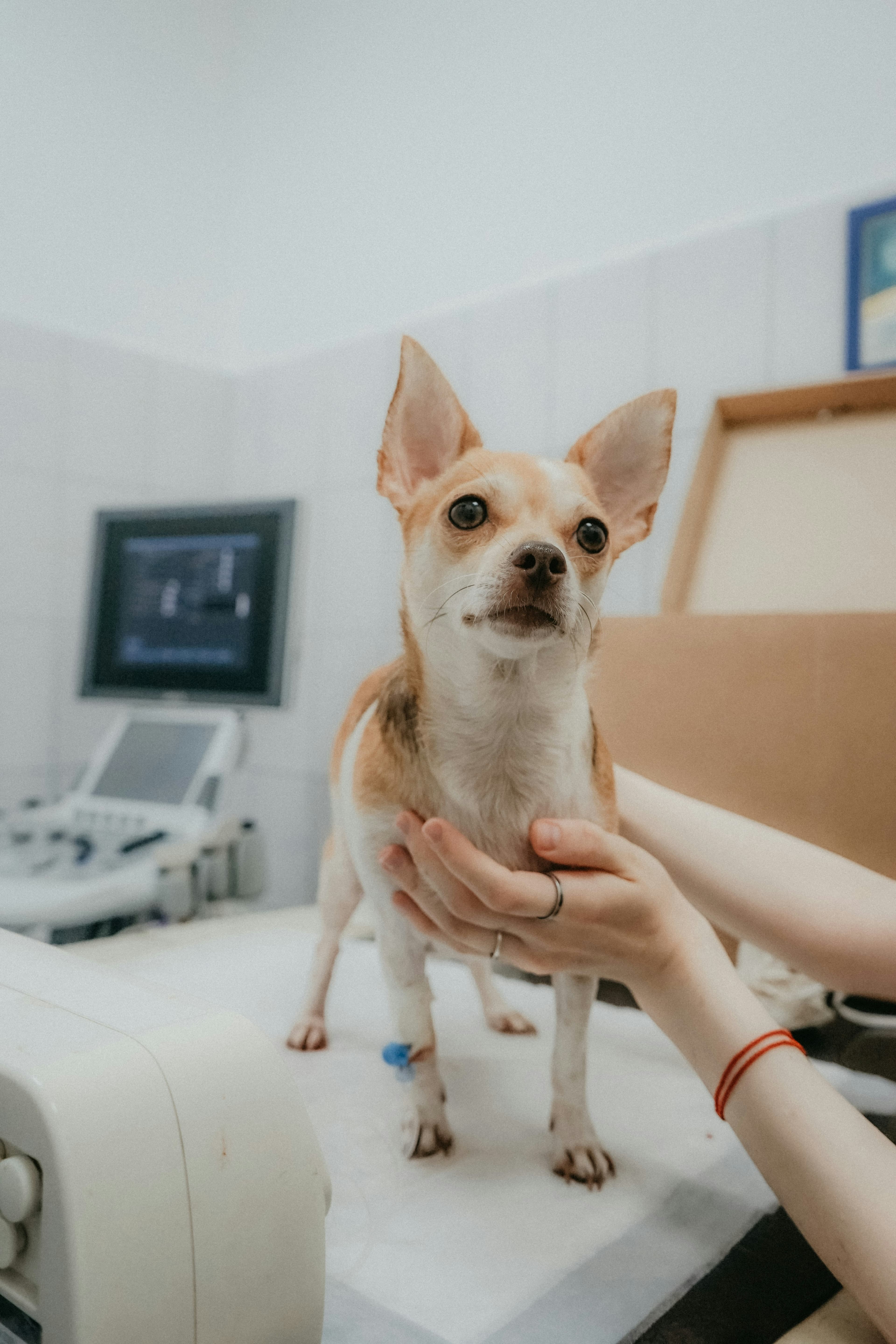 General Health Checkups