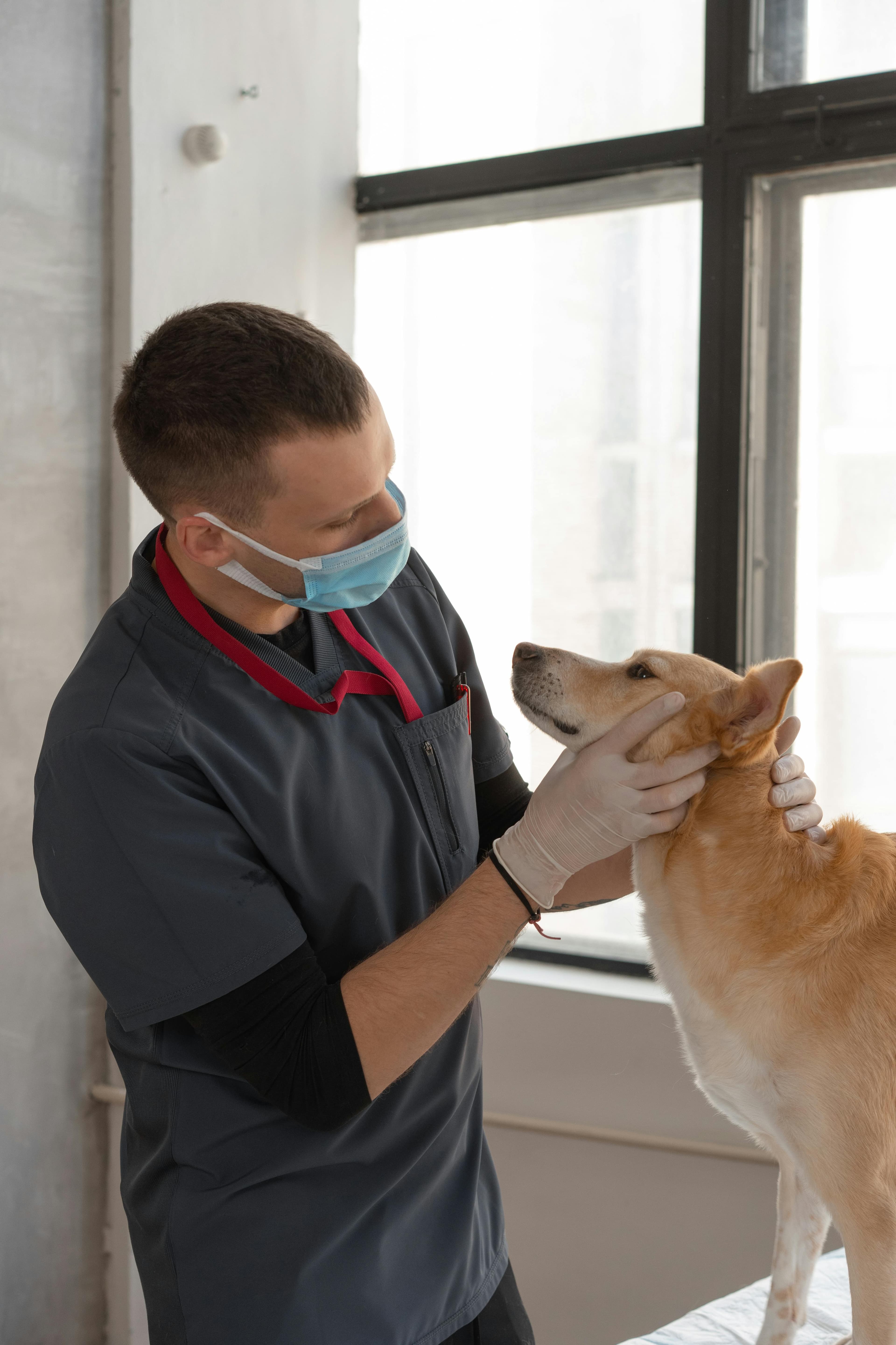 Dental Care