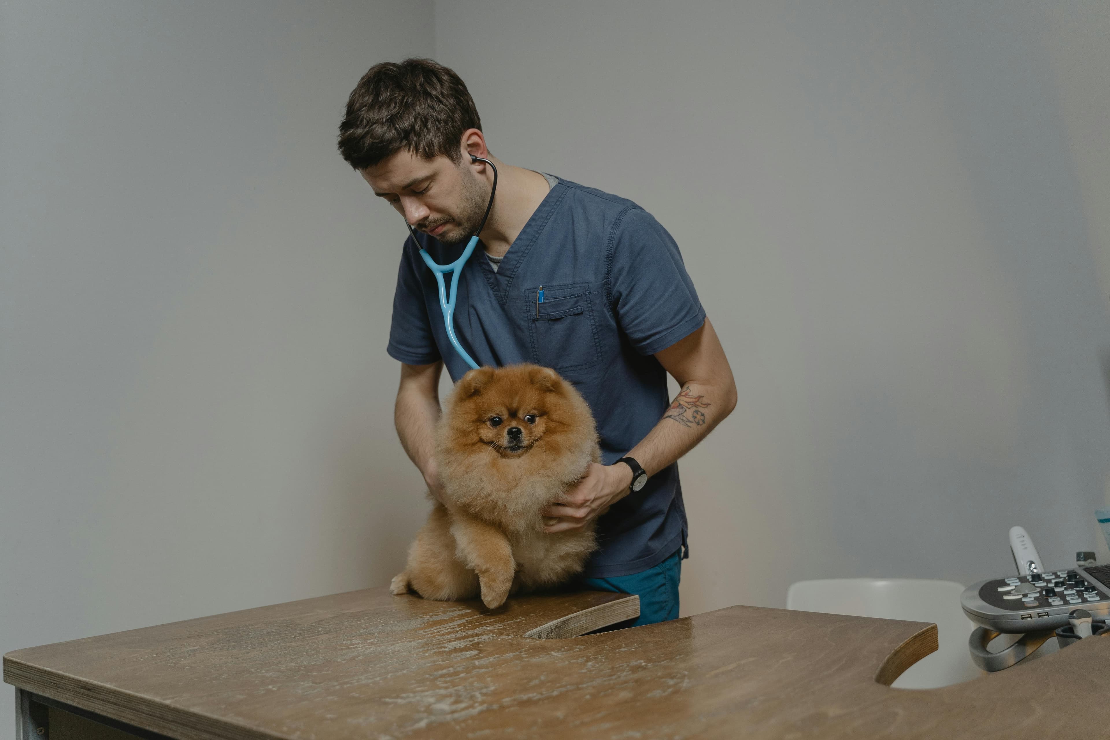Surgery & Procedures